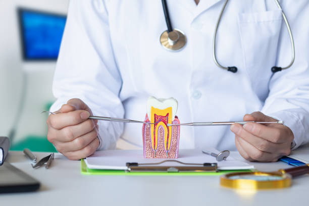 Best Emergency Treatment for Dental Infections or Abscesses in Marlene Village, OR